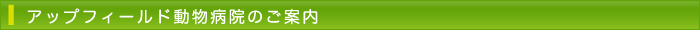 アップフィールド動物病院のご案内
